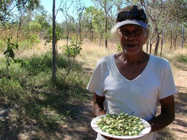 ABC Image for Kakadu Plum