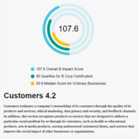 B Impact Customers