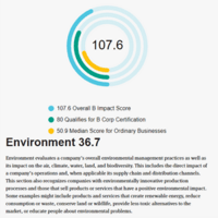 B Impact Environment