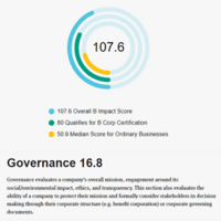 B Impact governance