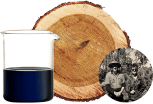 Blue Cypress_collage