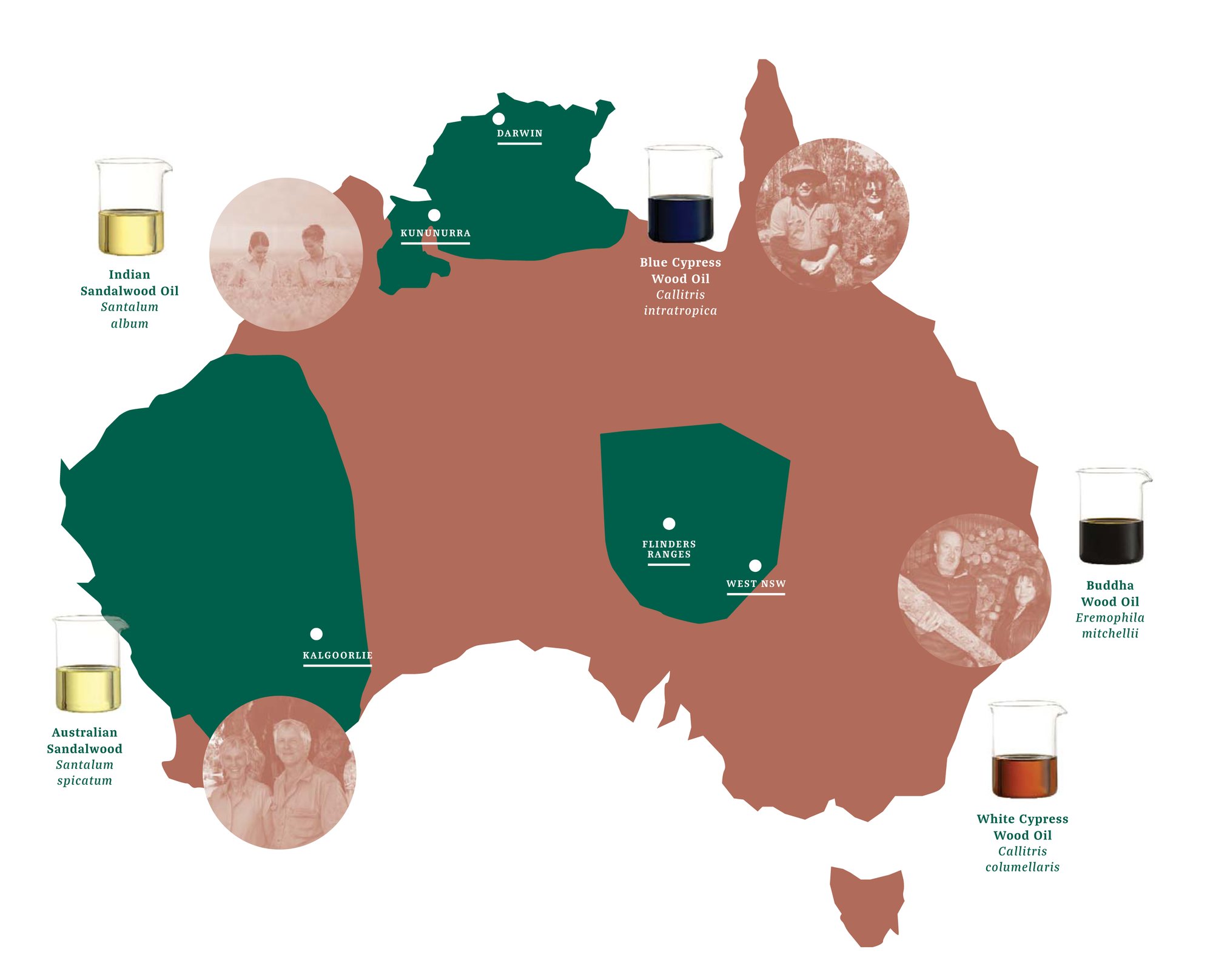 Composite Wood Oils Map_Updated-1