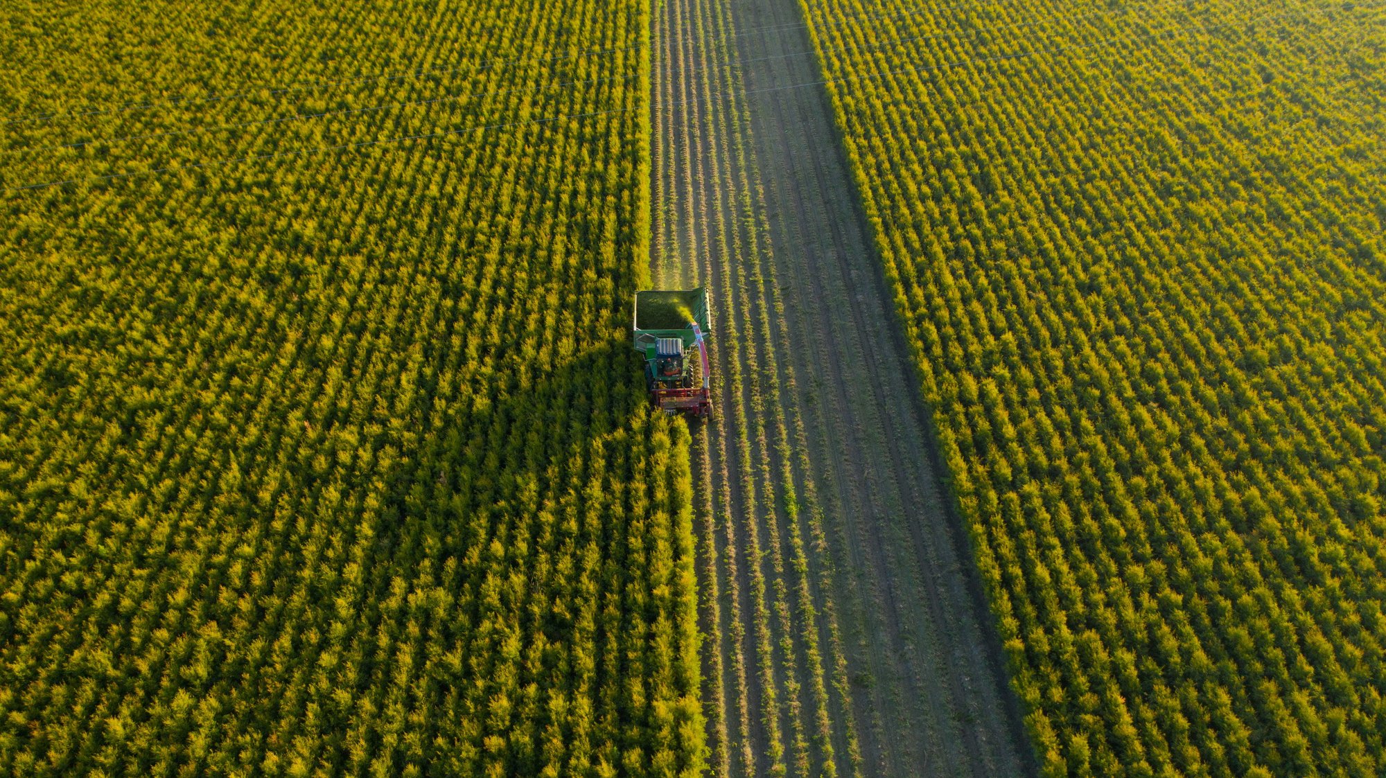 DJI_0076 (1)