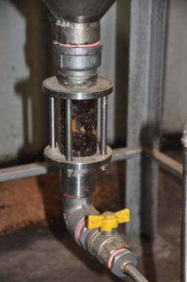 distilling buddha wood oil
