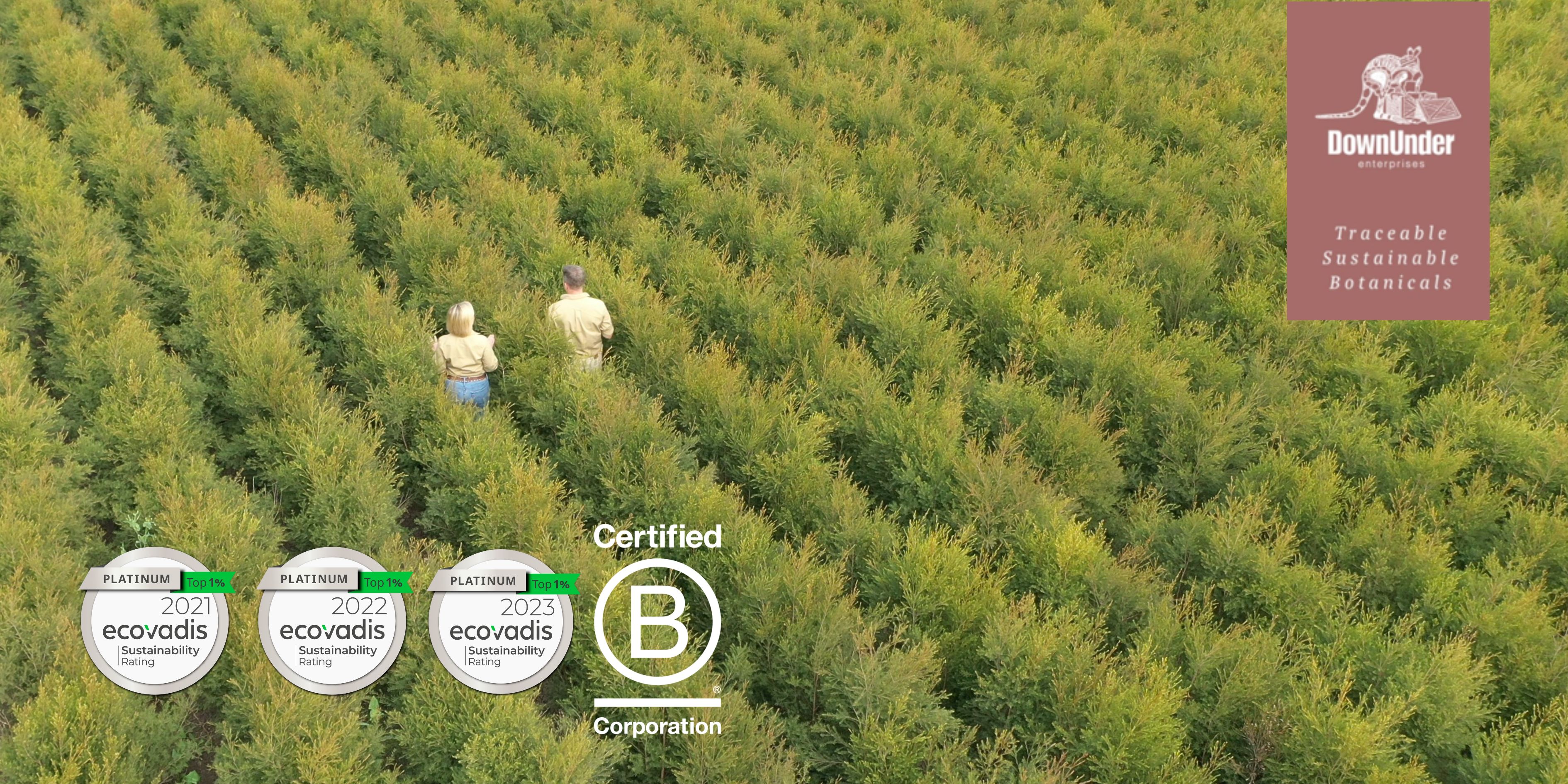 How Can Supply Chain Transparency Help Companies Reach Net Zero? - CEO Australia