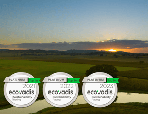 EcoVadis Scorecard-2