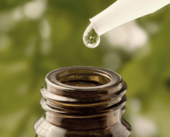 Eucalyptus oil