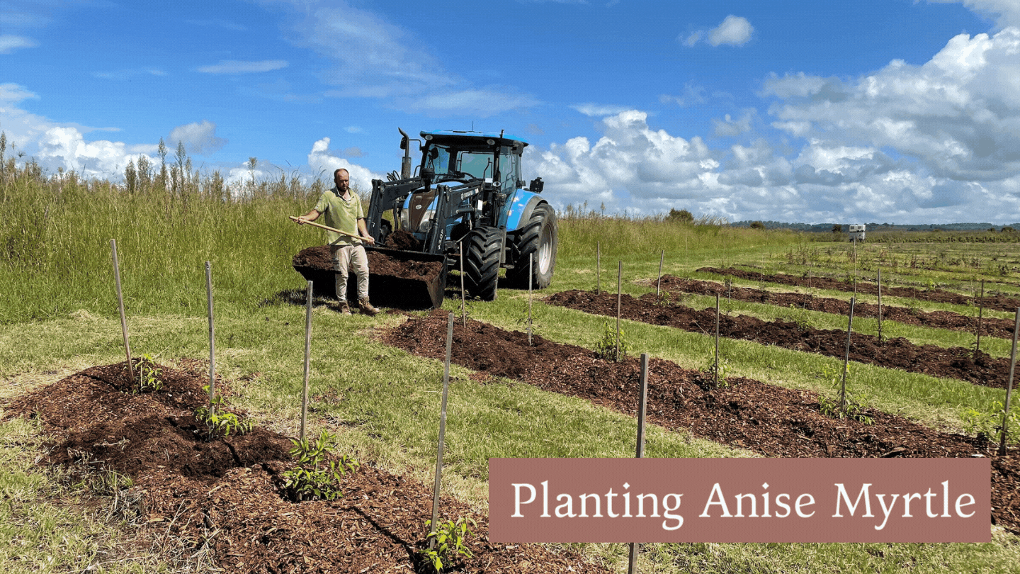 Farm Update - January Farm Update - January
