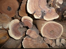 SANDALWOOD, AUSTRALIAN OIL - REGULAR GRADE
