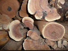 SANDALWOOD, AUSTRALIAN OIL - PREMIUM GRADE