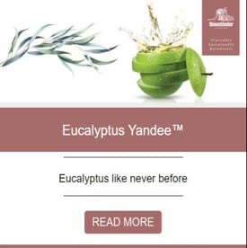 Eucalyptus Yandee Newsletter