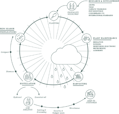 CYCLE OF SUSTAINABILITY