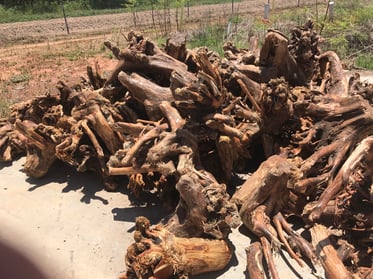 Processing_SA Logs Cleaned