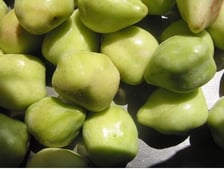 KAKADU PLUM (POWDER)