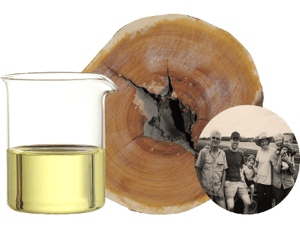 Sandalwood Spicatum_collage-1