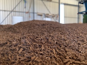 Australian Sandalwood spent charge drying post distillation