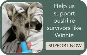 Winnie_bushfire_Support button-2