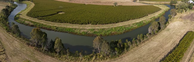 drone-koala corridors