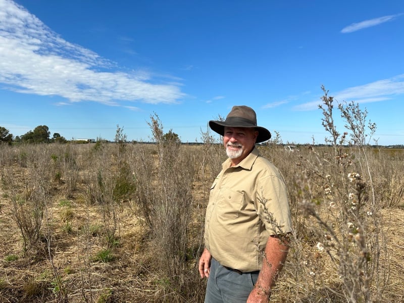 glen with cleaned up fragonia paddock