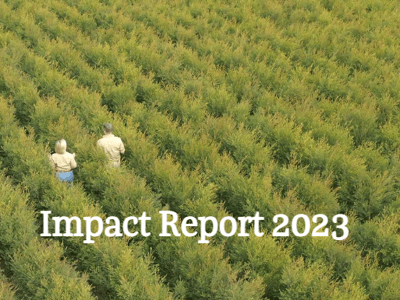 impact report header