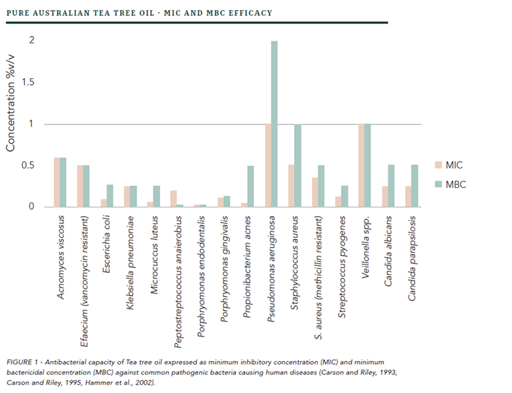 tea tree mic and mbc efficacy