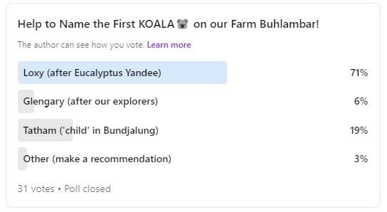 koala linkedin name poll result
