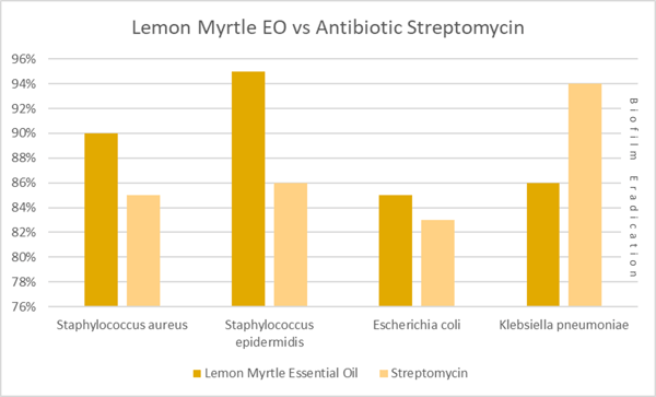 lemon myrtle biofilm era