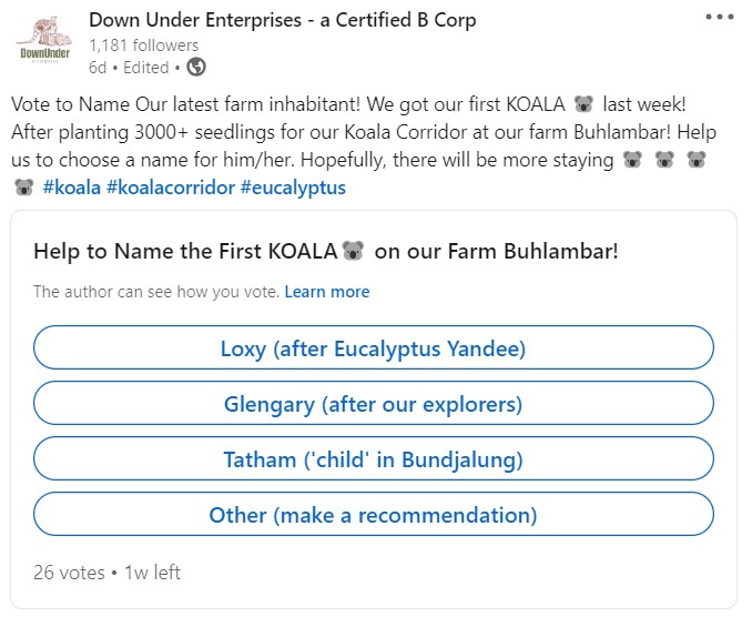 linkedin vote for our first koala
