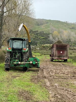 manuka harvestor