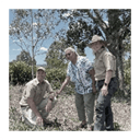 planting tree with local older aunty gwen