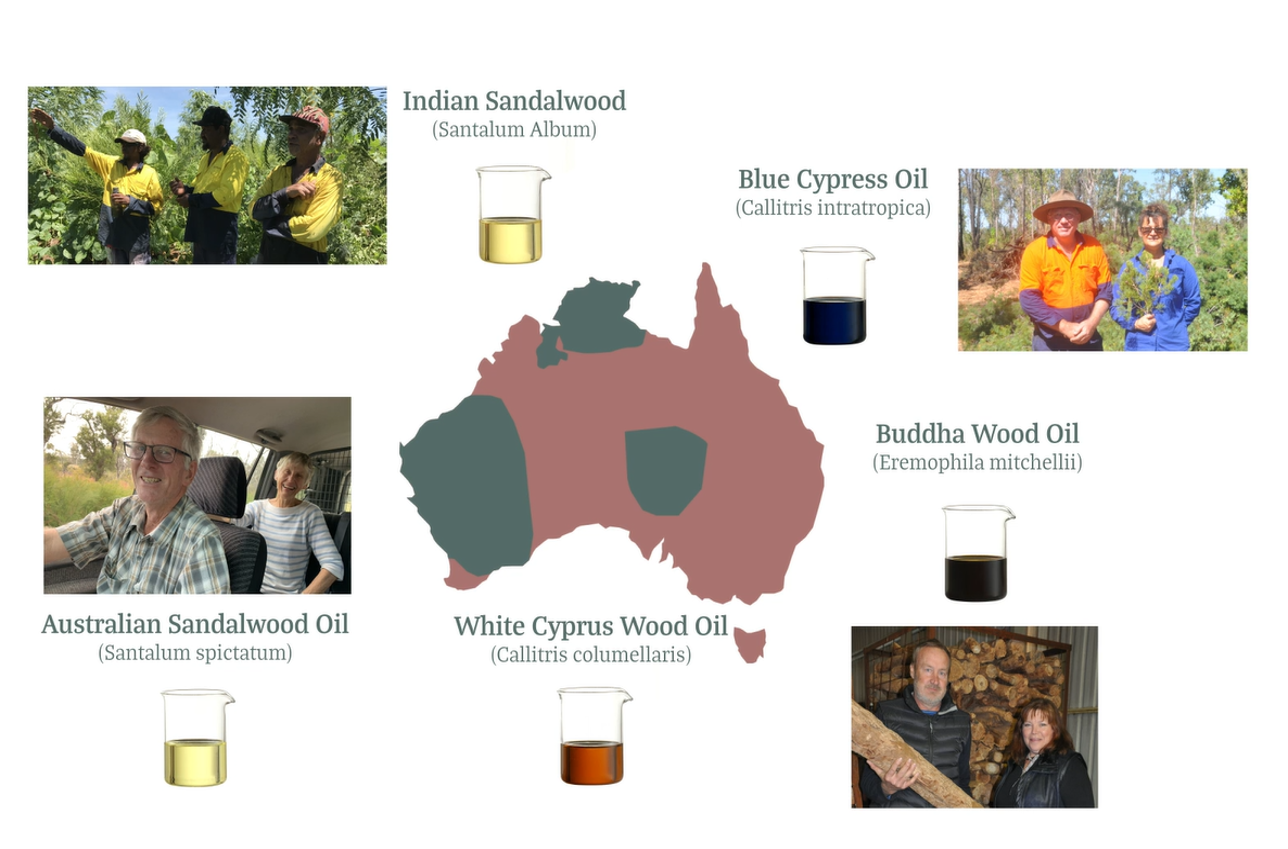 wood oil