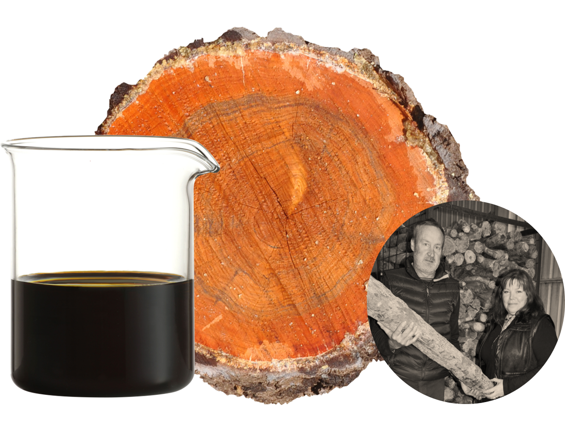 Buddha Wood_collage-1