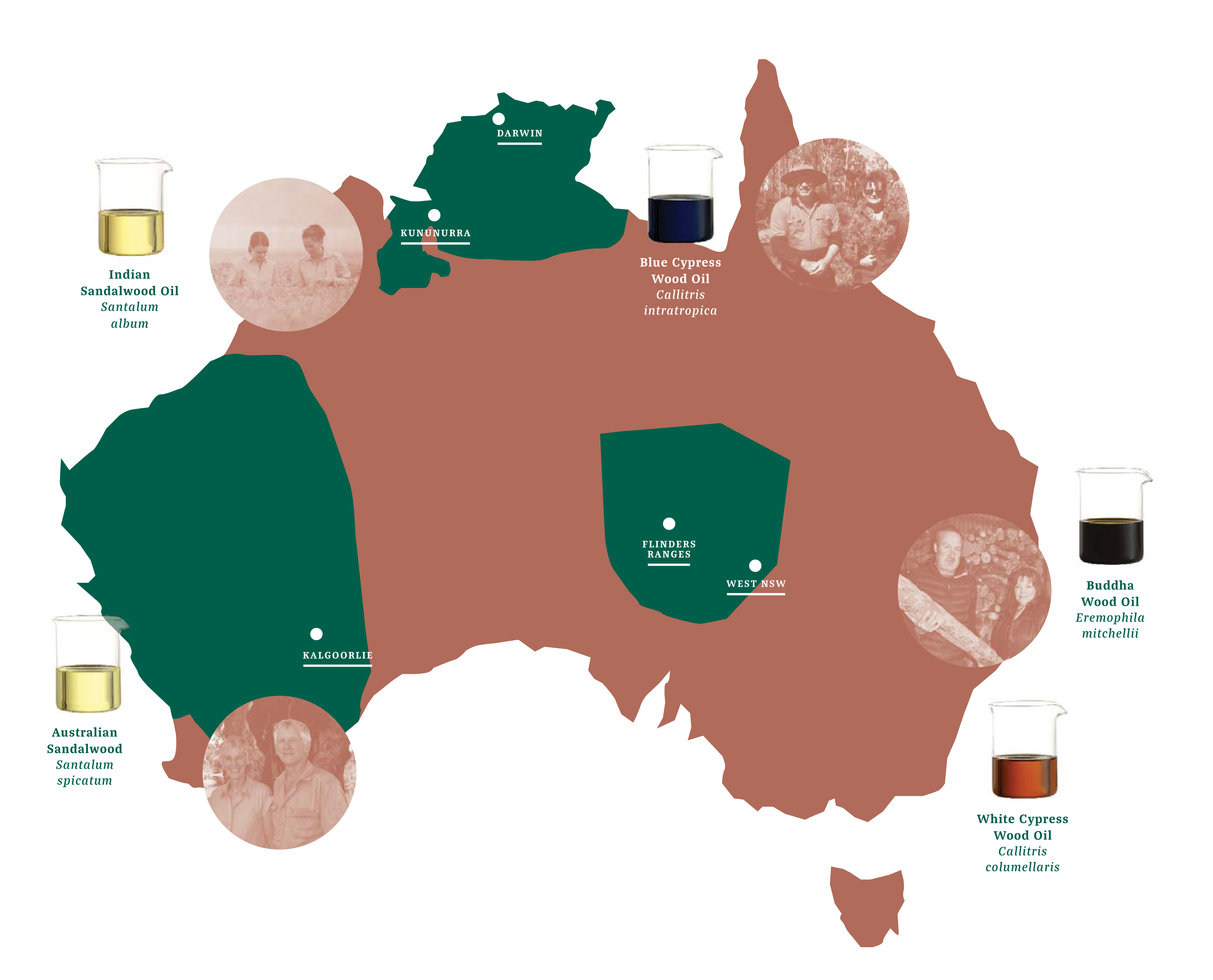 Composite Wood Oils Map_Updated