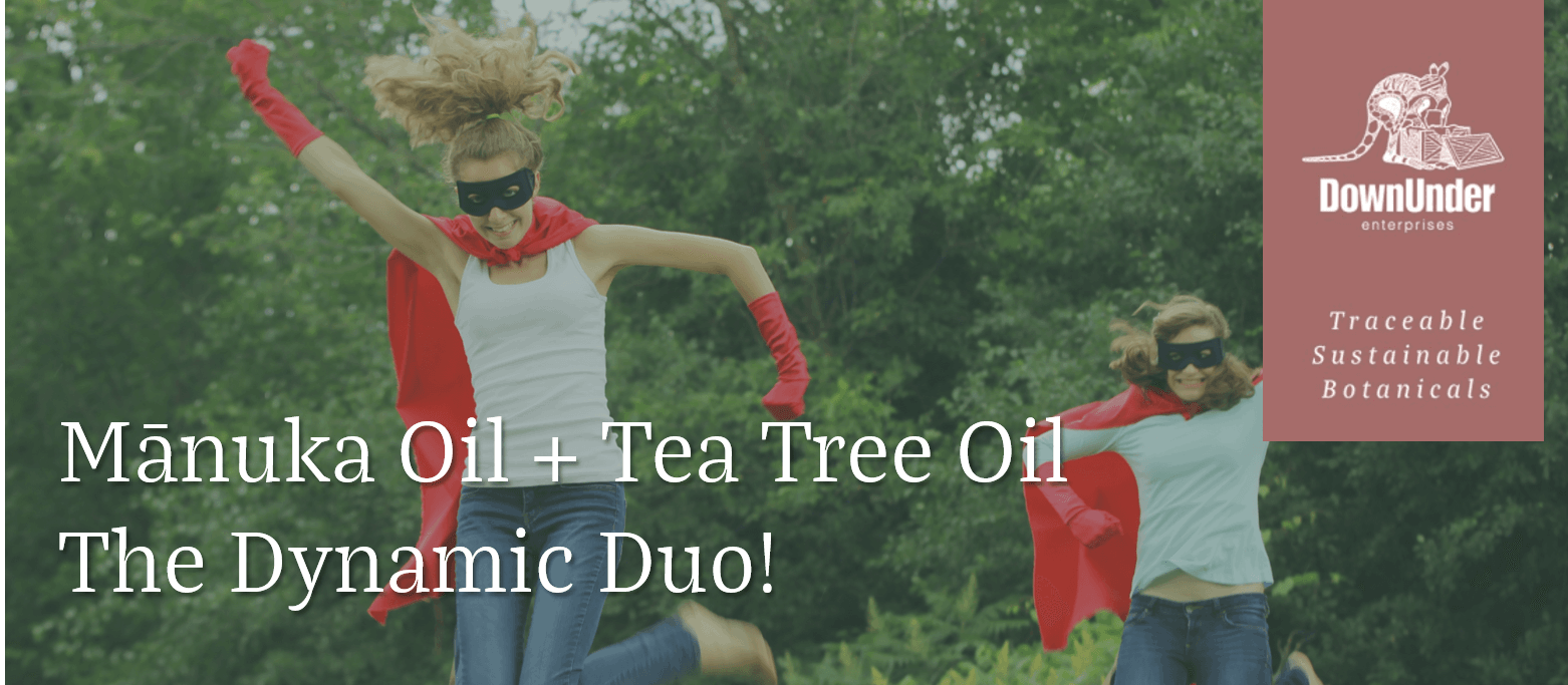 Supercharge Your Formulas with Our Dynamic Duo
