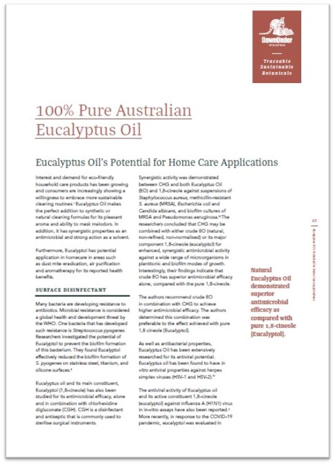 Eucalyptus Home Care