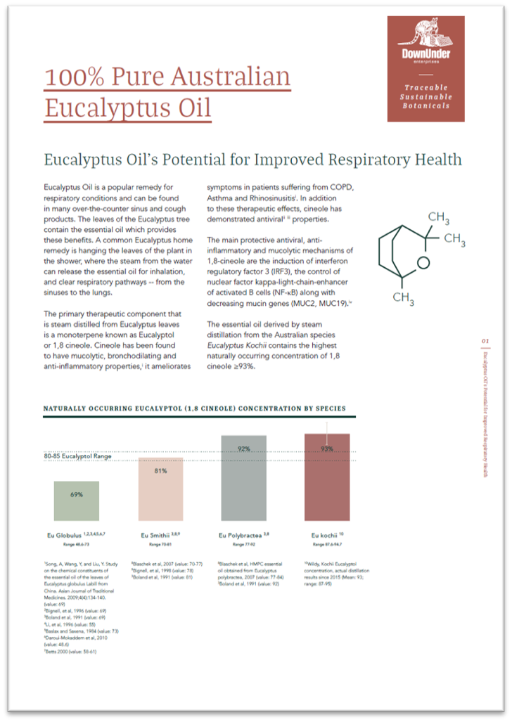 Eucalyptus White Paper