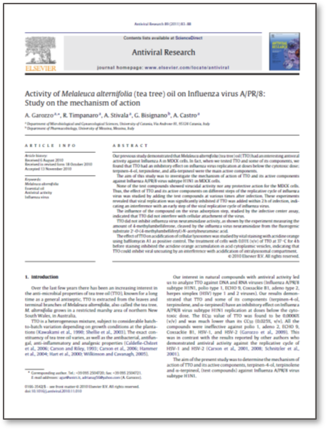 Garozzo 2011 thumbnail