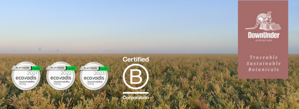 What's B Corp and Why?