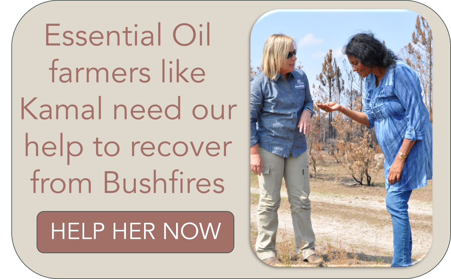 Kamal_bushfire_Support button-2