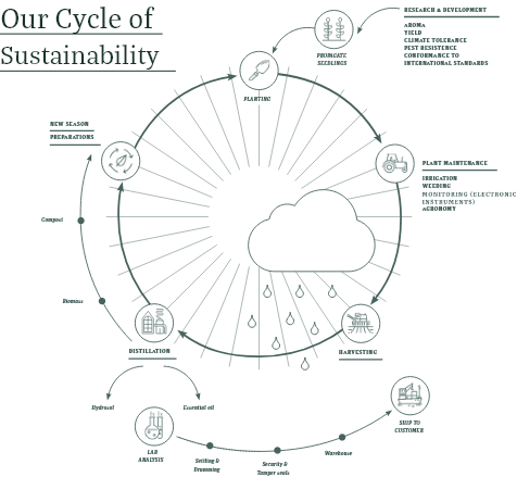 Cycle of Sustainability Image