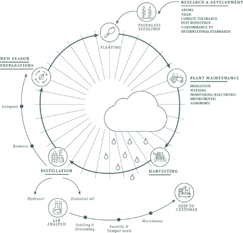 CYCLE OF SUSTAINABILITY