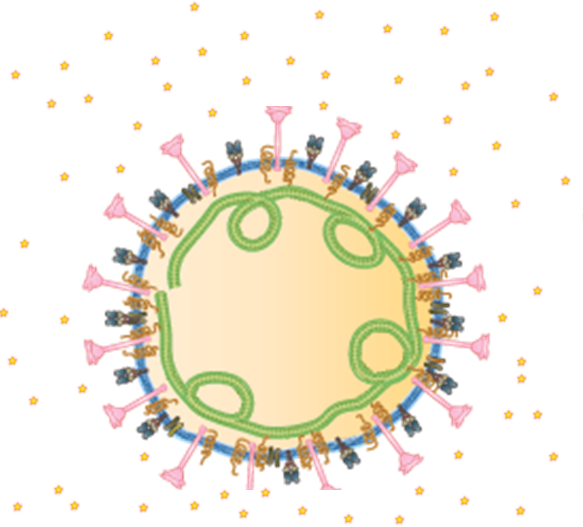 TTO and virus square