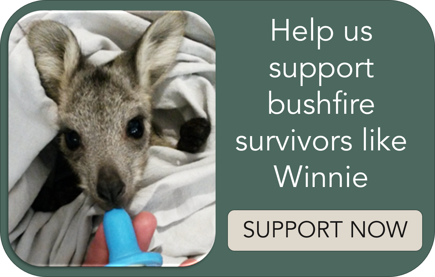 Winnie_bushfire_Support button