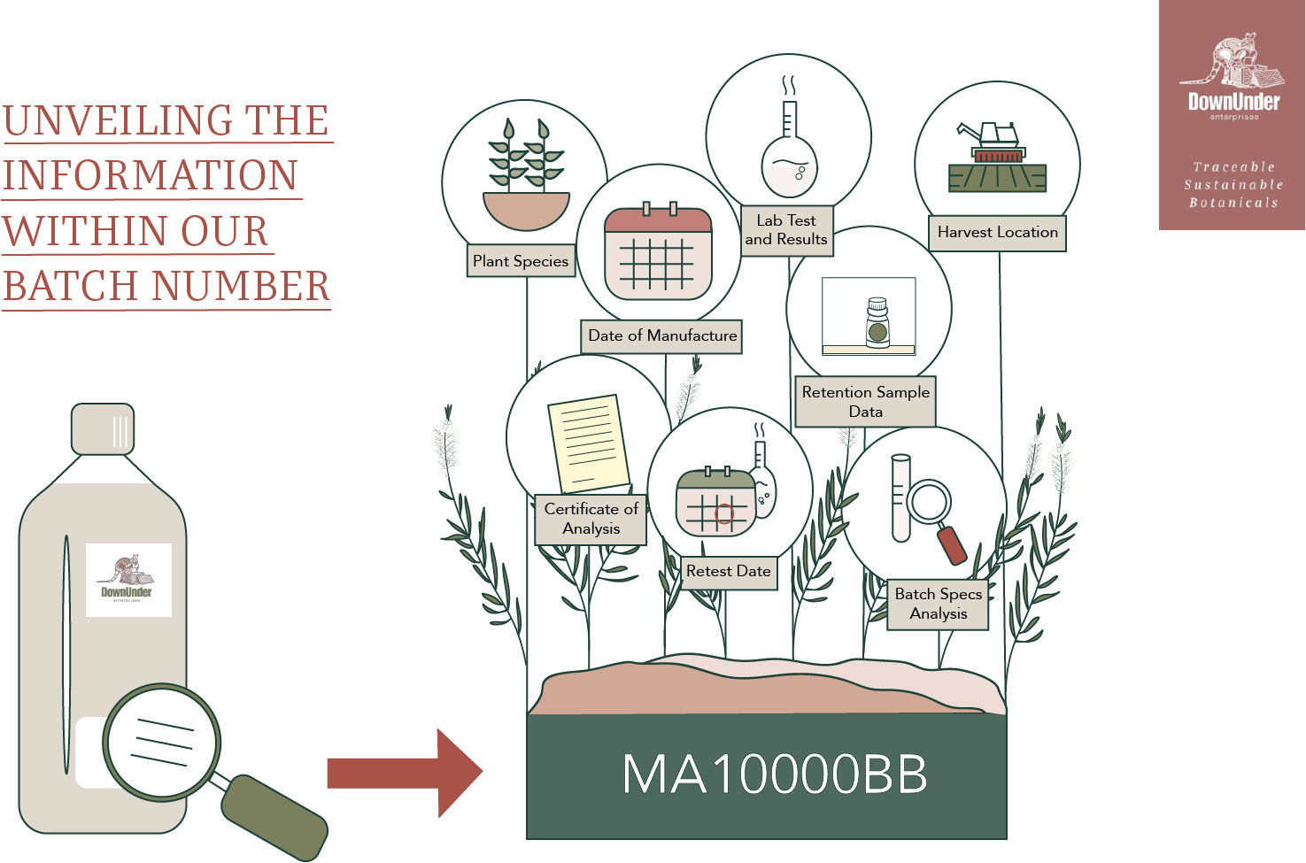 unveil the information behind the batch number